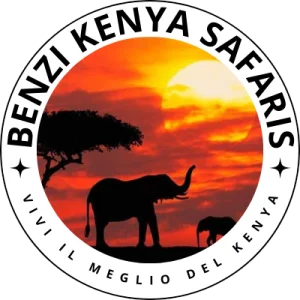 benzi kenya safaris logo